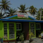 11357198 995284343815125 618812419066613896 o