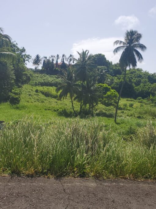 1c2dc4e6 2e3e 4d0f a203 aeb3fe531626