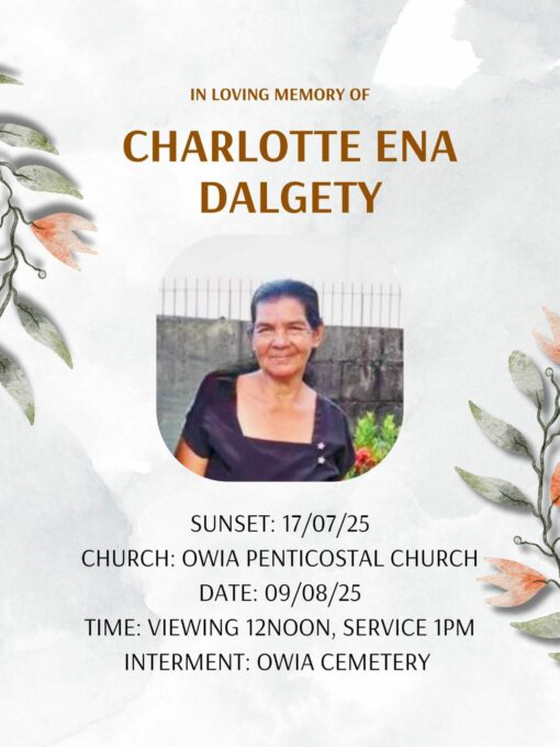 519427847 1209366197661448 4959088396086936659 n