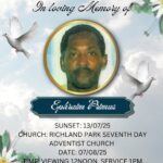 527704663 1210191800912221 8400494312293612908 n