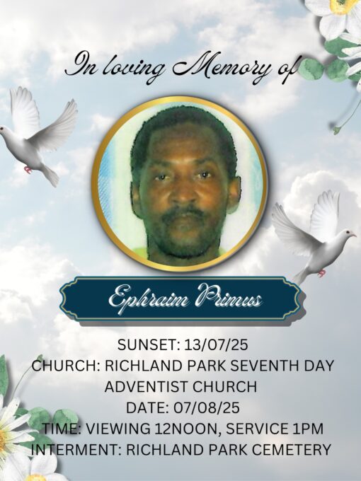 527704663 1210191800912221 8400494312293612908 n