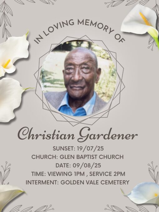 527736618 1210192074245527 3981904759876386357 n