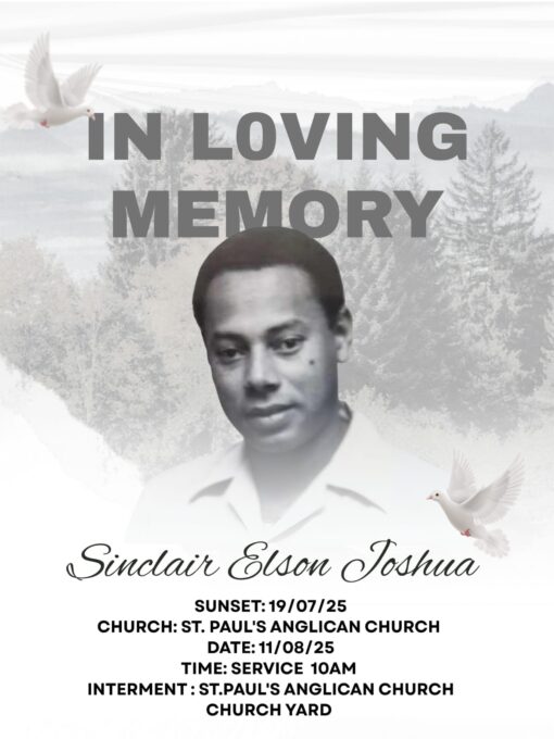 528699732 1210312987566769 1340281309731635131 n