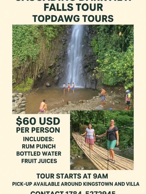 533577694 1406719581454947 8596828194212051351 n