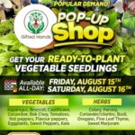 Ad5de8c3 8305 44b2 acf5 bd7af5919f9d