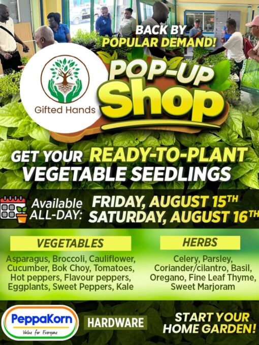 Ad5de8c3 8305 44b2 acf5 bd7af5919f9d