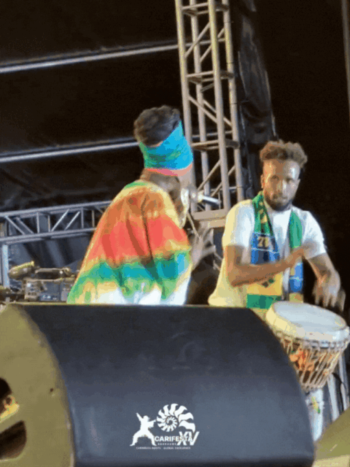 Cropped fiaempress 1.gif