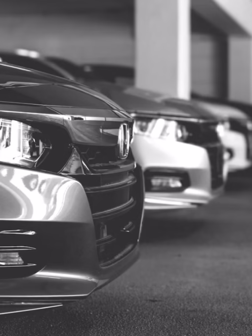 Cropped photo 1585503418537 88331351ad99.avif